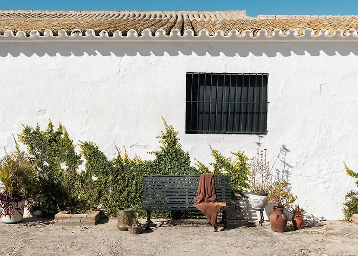 乡村民宿 Hacienda Mesas - Luxury Jerez *