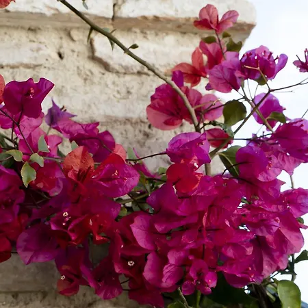 Hacienda Mesas - Luxury Jerez