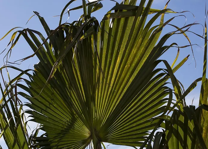 Hacienda Mesas - Luxury Jerez Jerez de la Frontera